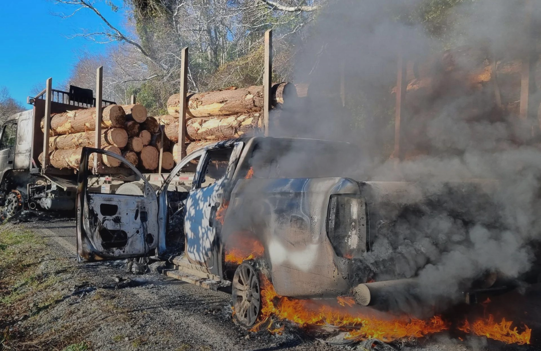 Mapuches contra mapuches: la amenaza de muerte de violentistas contra trabajadores de faena forestal
