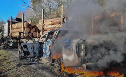 Mapuches contra mapuches: la amenaza de muerte de violentistas contra trabajadores de faena forestal