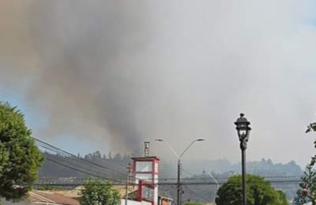 Ordenan evacuar sector urbano de Galvarino en La Araucanía por avance de incendio forestal