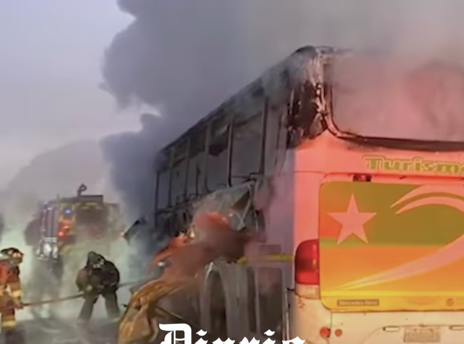 Encapuchados incendiaron un bus que transportaba trabajadores en Perquenco