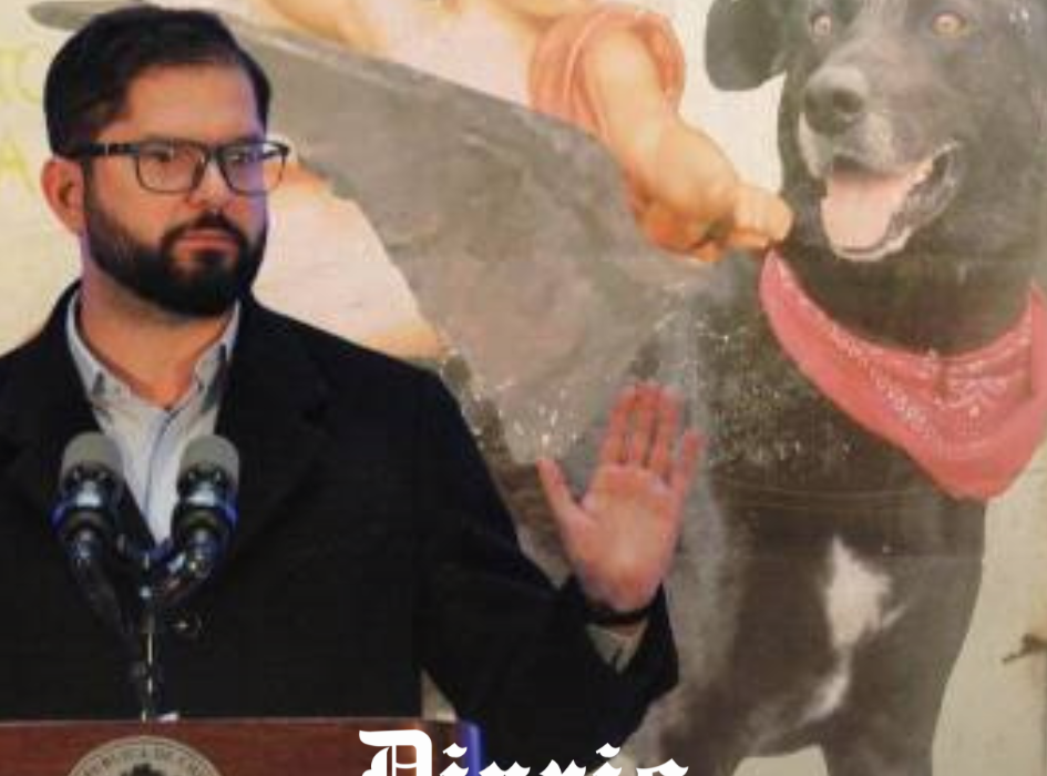 Presidente Boric: «Yo jamás festiné ni me hizo ningún sentido esta imagen burda del perro matapacos»
